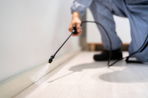Licensed Pest Control service in Mandeville, LA - Show Me Pest Control
