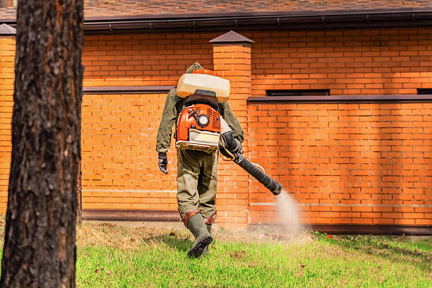 Bed Bug Clearance Verification and Documentation in Mandeville